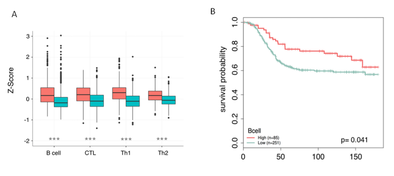 Figure 2. Normal to cancer.